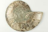 4.35" Cut & Polished Ammonite Fossil (Half) - Madagascar - #200057-1